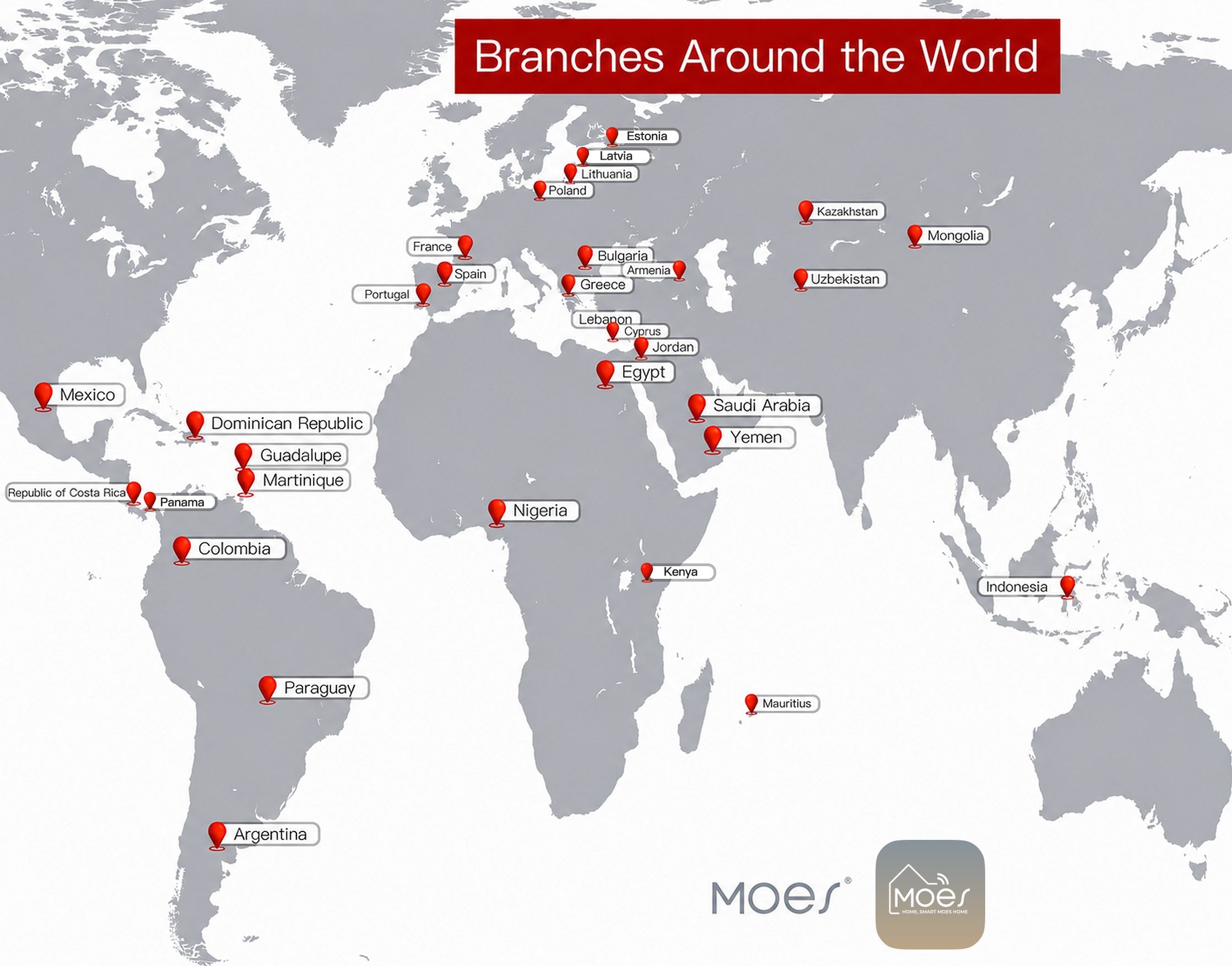 Company Branch